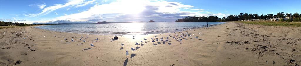 Corrigans Cove Aparthotel Batemans Bay Ngoại thất bức ảnh